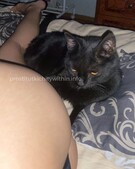 Анкета проститутки Зоя - метро Ломоносовский, возраст - 23